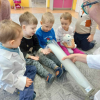 Dietetyk w przedszkolu Sokolniki